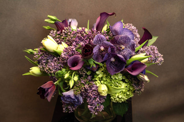 NIGHT FOREST - Brentwood Florist