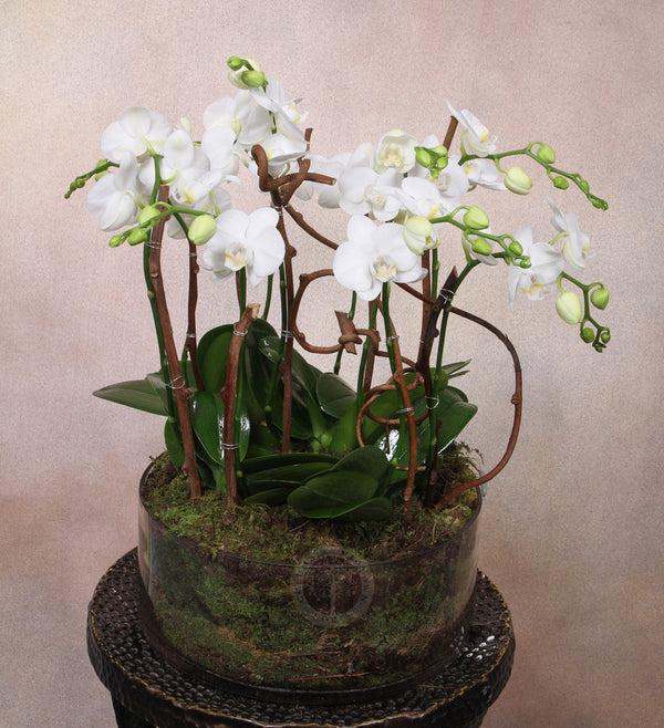 WHIMSICAL - Brentwood Florist