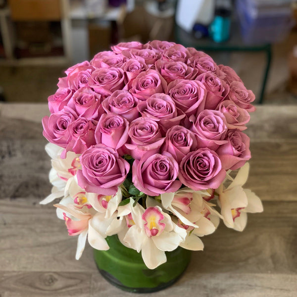 Cymbidium Delight - Brentwood Florist