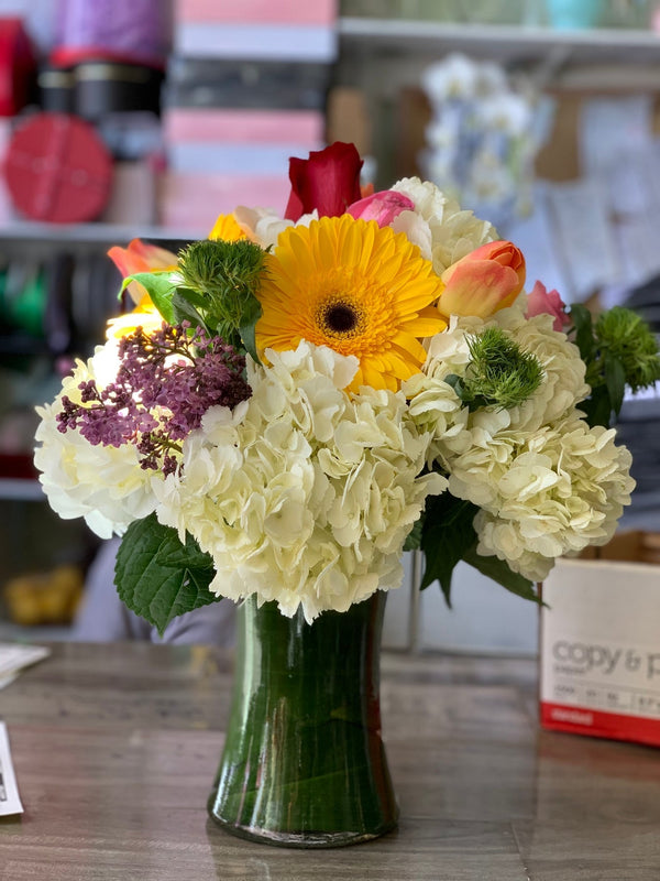 Daisies Gift | Brentwood Florist
